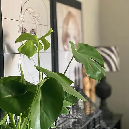 Panzió Dreamhome Limoux