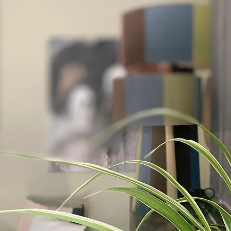 Panzió Dreamhome Limoux